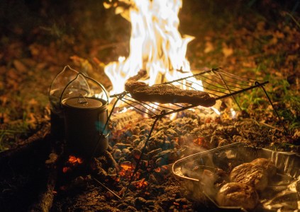 NOTTE Survival - il nostro potenziale, 2 giorni!